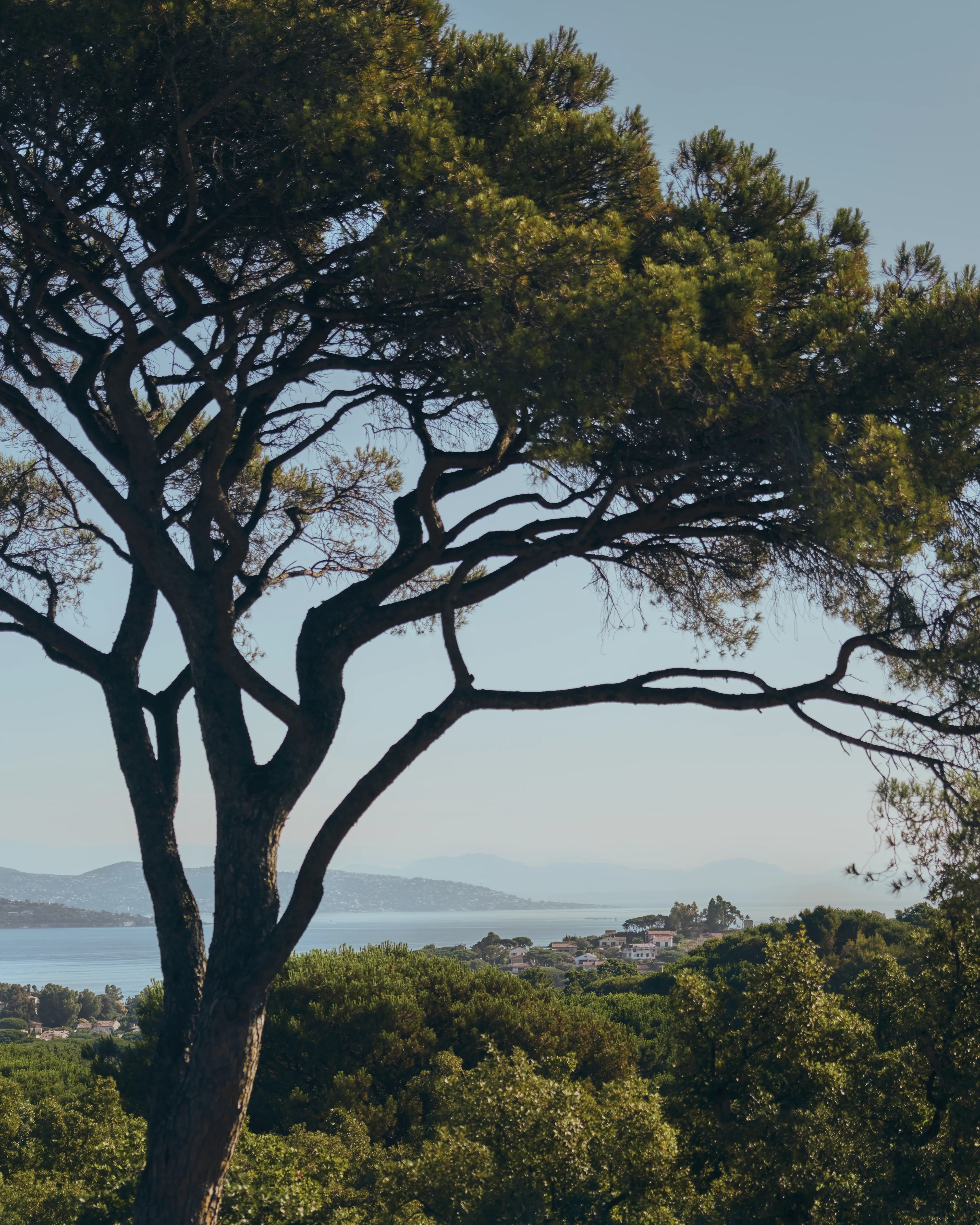 Nature with sea view