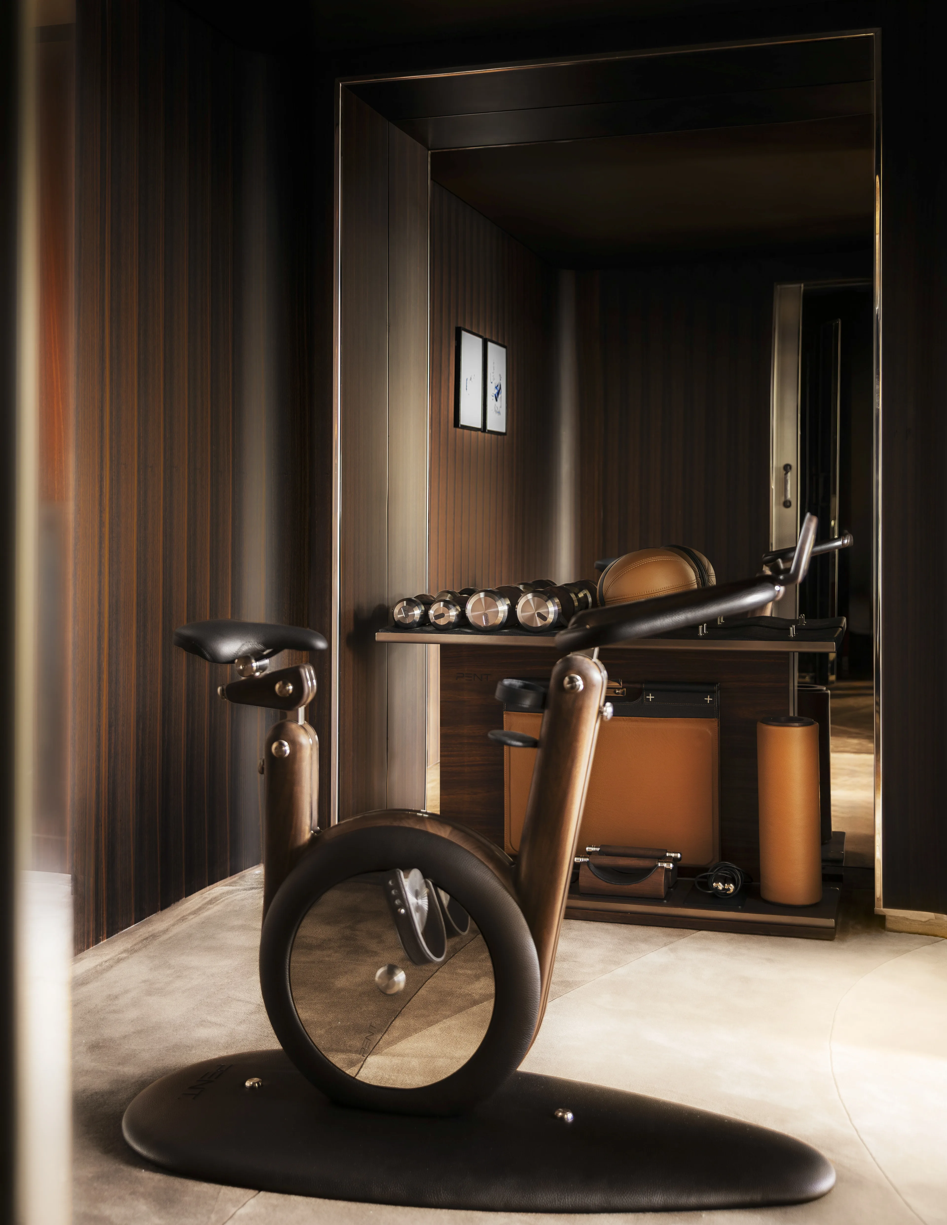 Luxury suite with fitness room