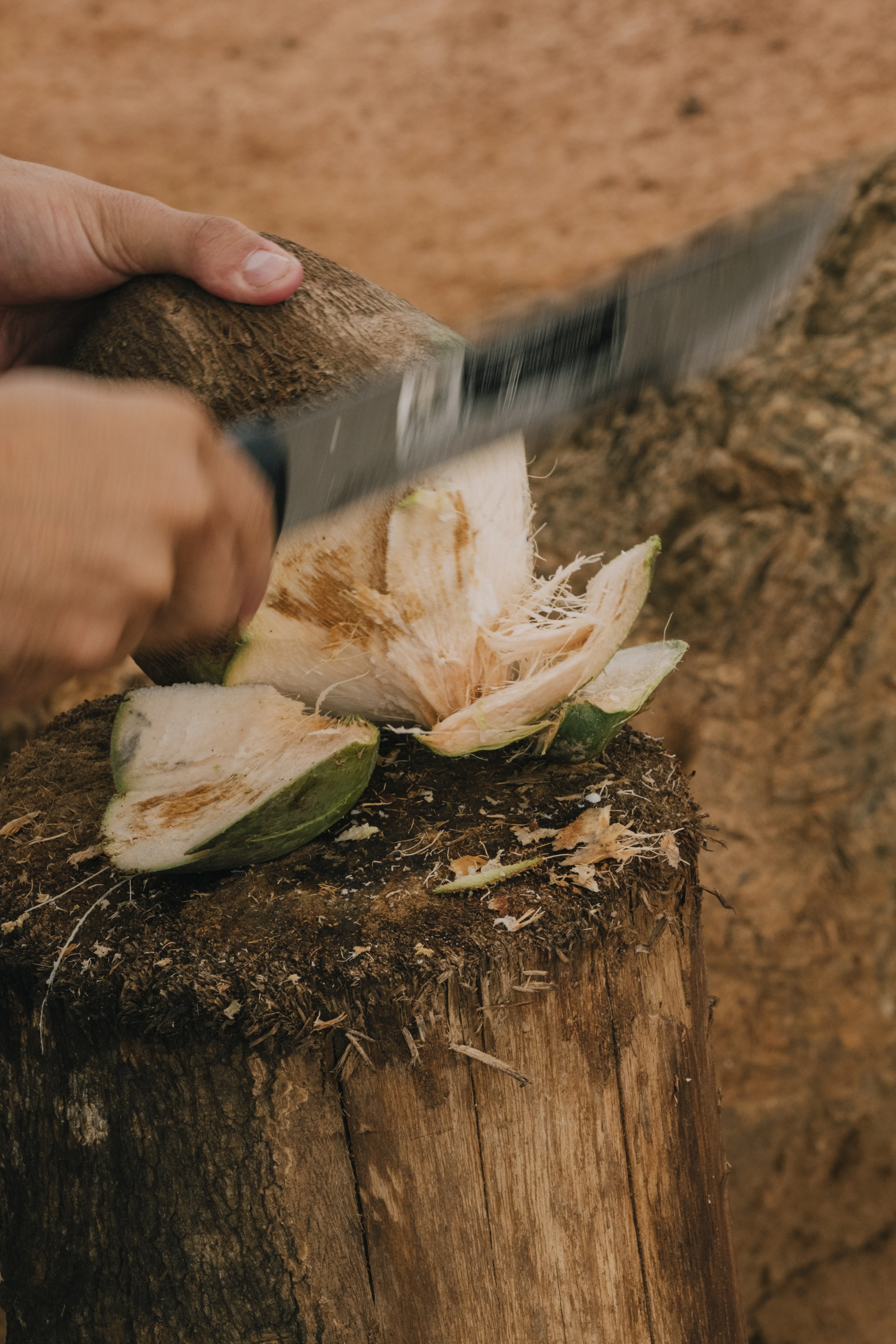 Cutting a coconut