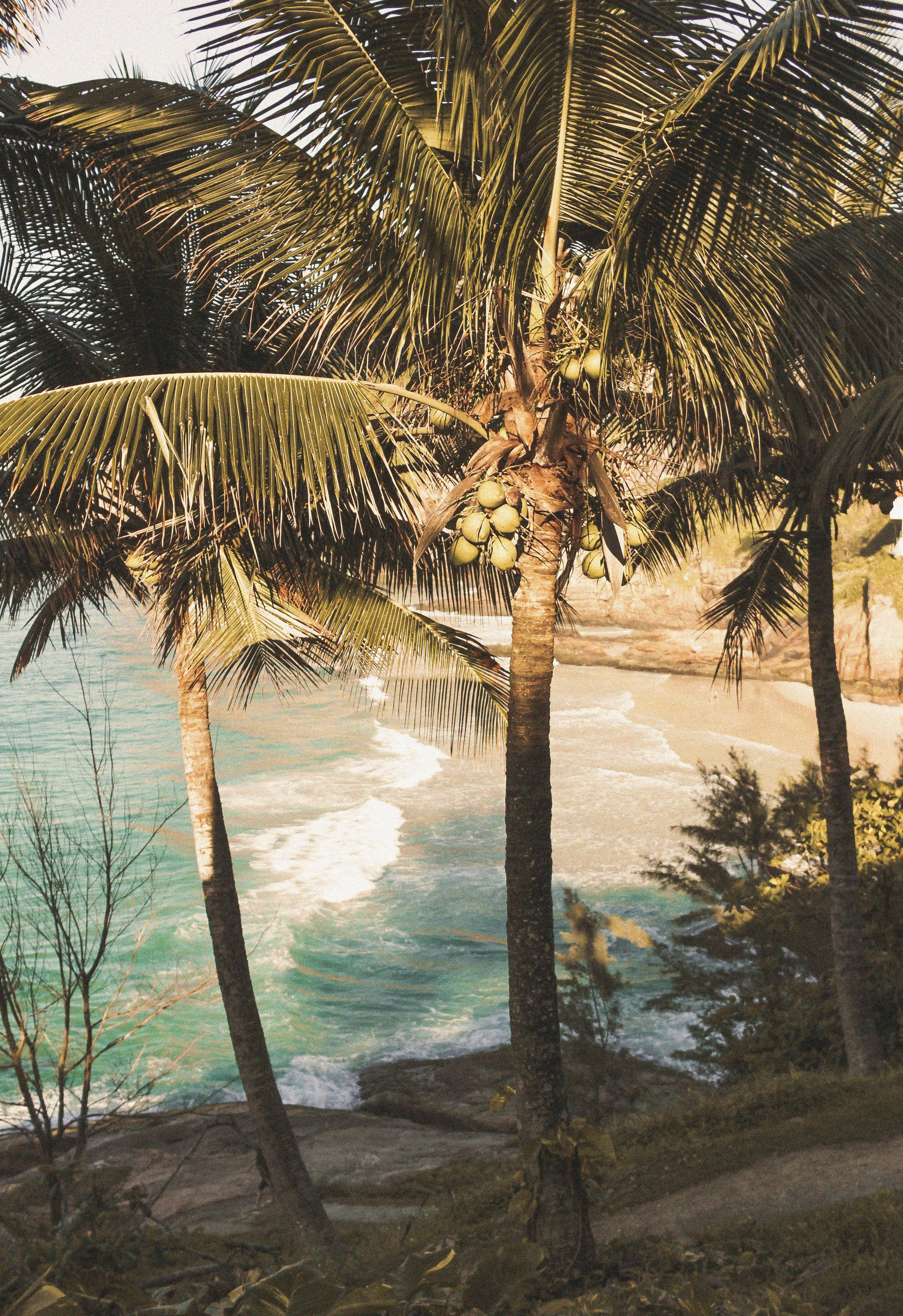 Private beach