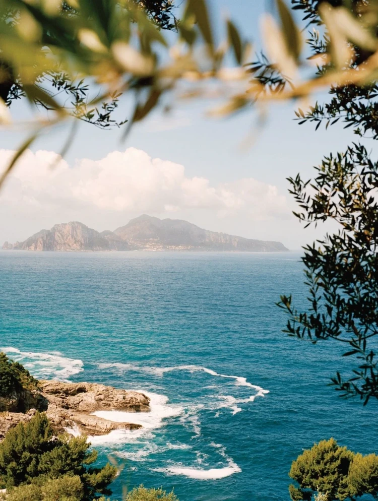 The Rivieras